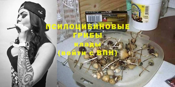 твердый Белокуриха