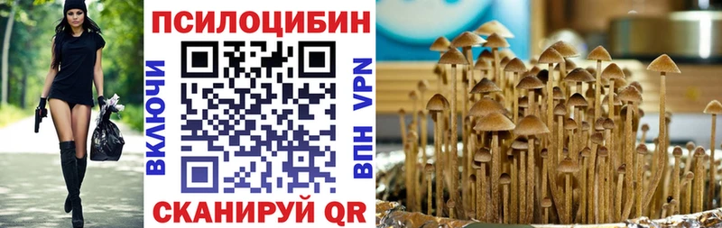 Псилоцибиновые грибы Cubensis  мега как войти  Вязьма  хочу наркоту 