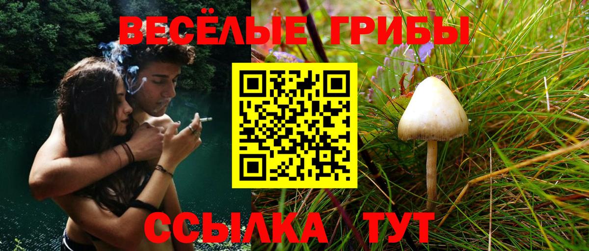 как найти закладки  Псилоцибиновые грибы мицелий  Вход с VPN  Вязьма 