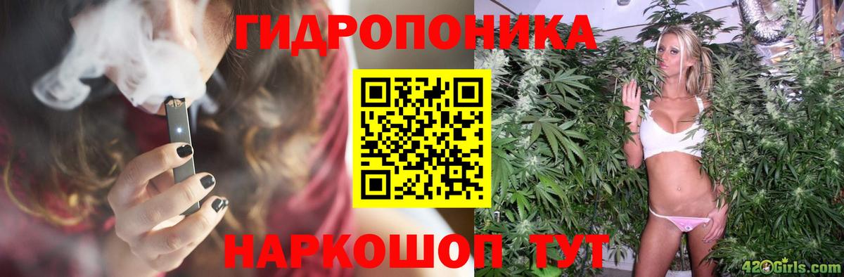 Конопля THC 21%  Вход с VPN  Марихуана THC 21%  МАРИХУАНА ГИДРОПОН  Вязьма  Канабис сатива 
